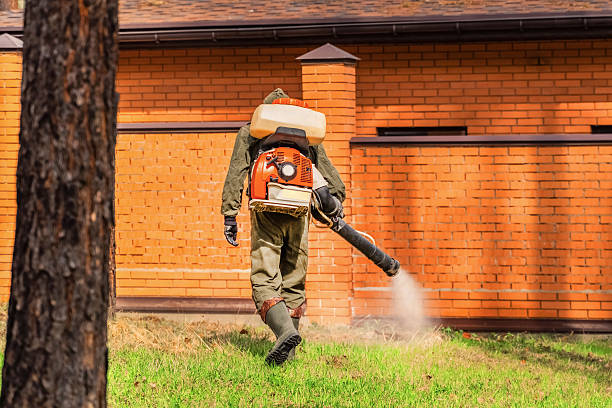 Trusted Cockroach Control service in Vernon Valley, NJ - Nex Pest Control